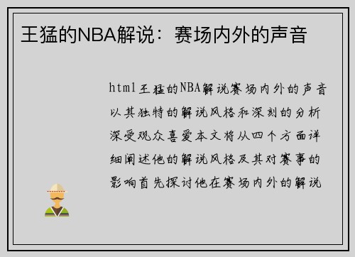 王猛的NBA解说：赛场内外的声音