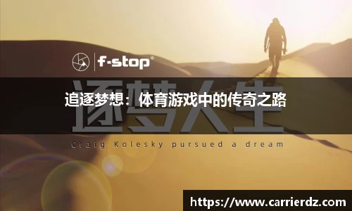 追逐梦想：体育游戏中的传奇之路